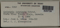 Image Associated With the Occurence